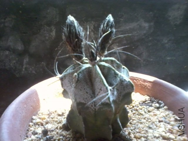 ��Ƭ0218.jpg