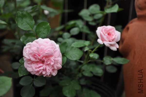 2011.5.26 035�ҹ���.jpg