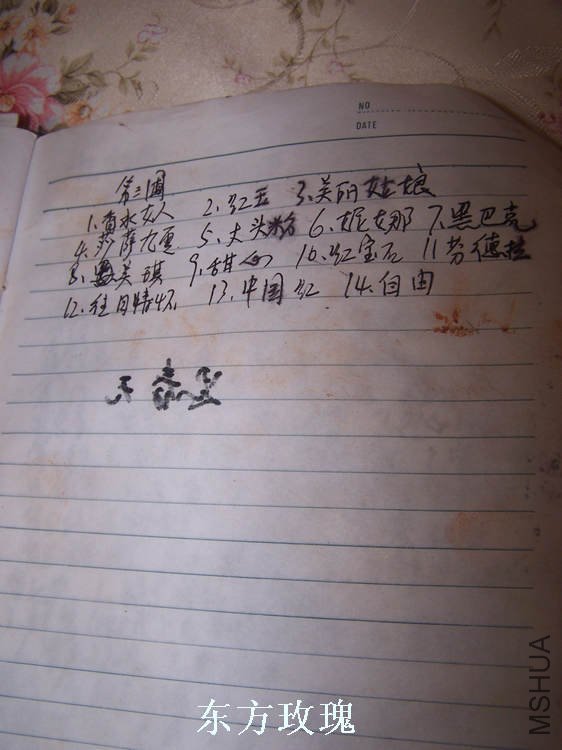 100_4844.jpg