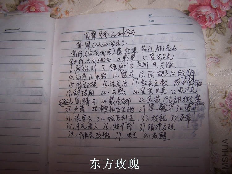 100_4841.jpg