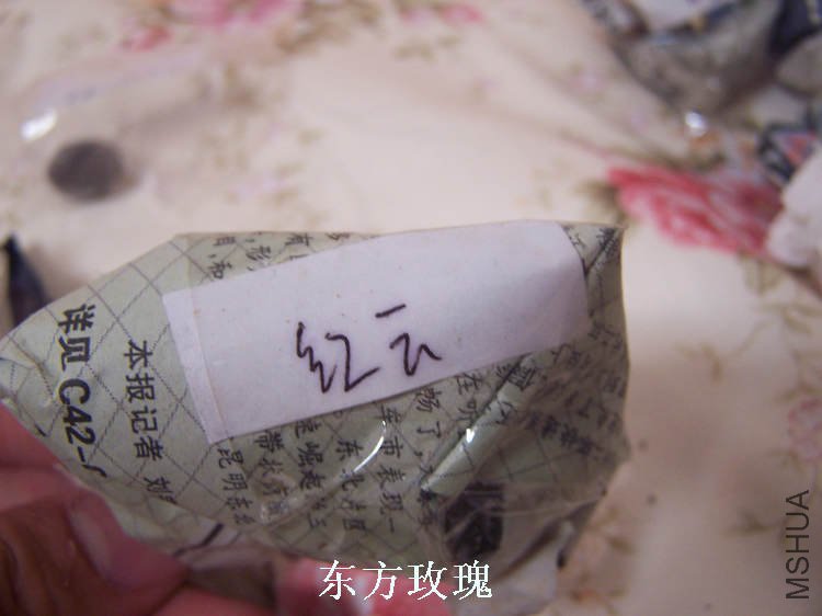 100_4859.jpg