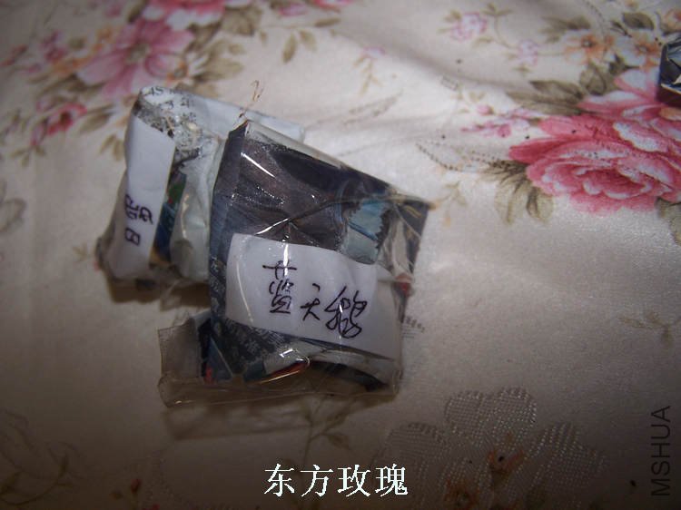 100_4855.jpg