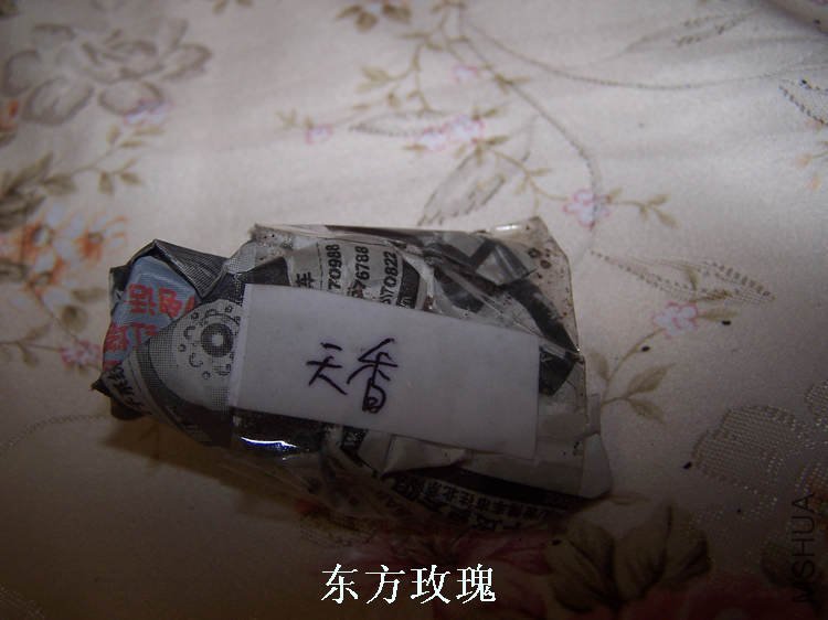100_4853.jpg