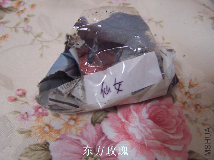 100_4860.jpg