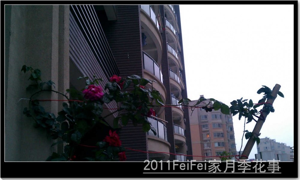 IMAG0283.jpg