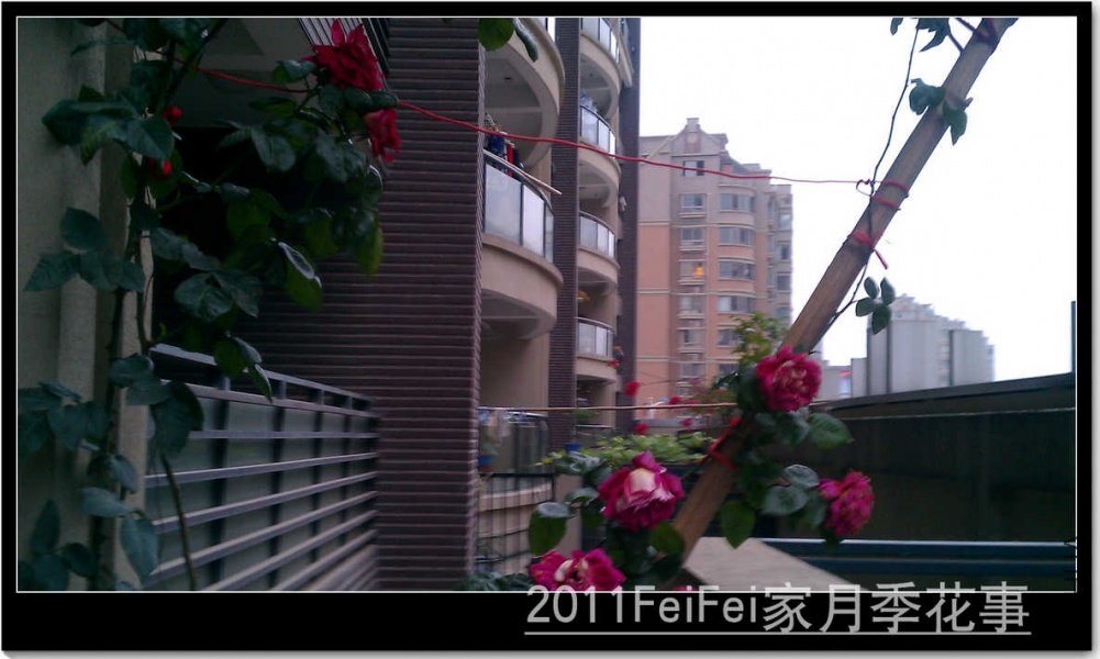 IMAG0282.jpg