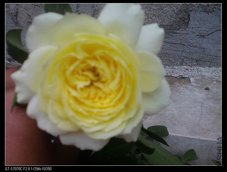 nEO_IMG_��Ƭ0051.jpg