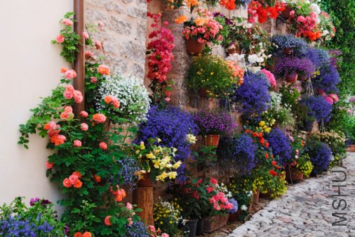 12682197641769.jpg