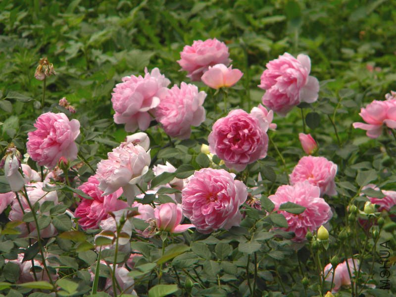 DSCN2320.jpg