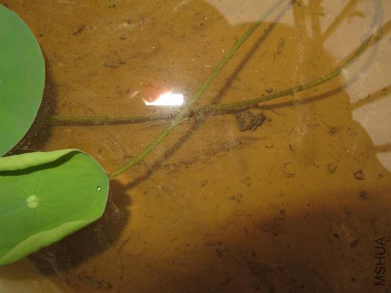 �ӿ��������