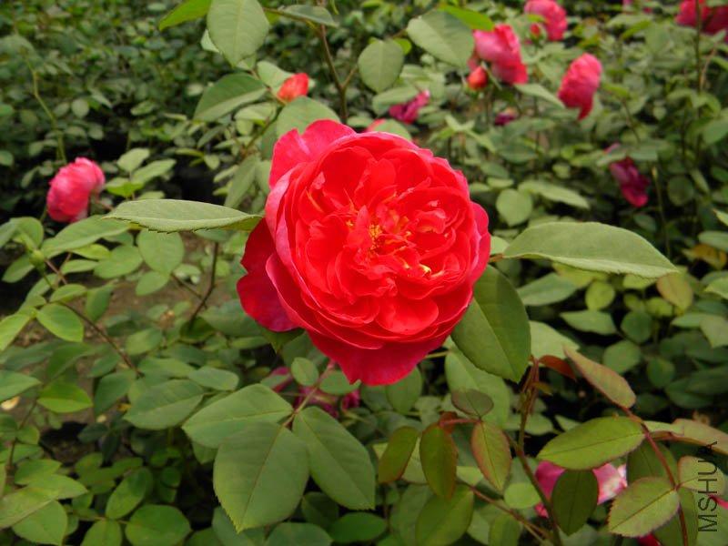 DSCN2269.jpg