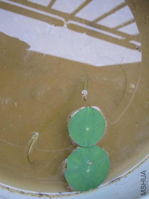 ���������������