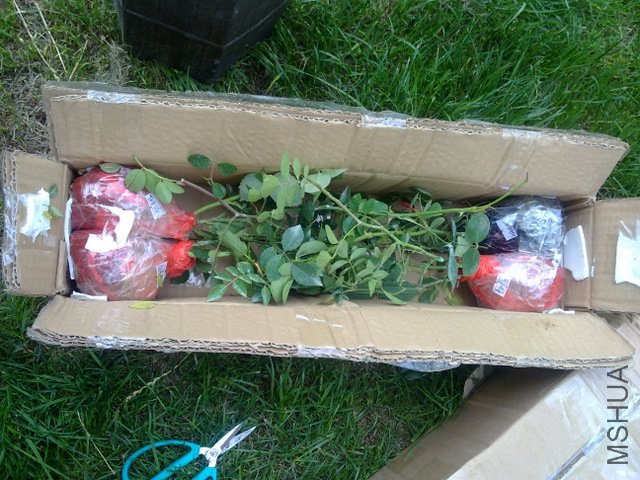 201105291524.jpg