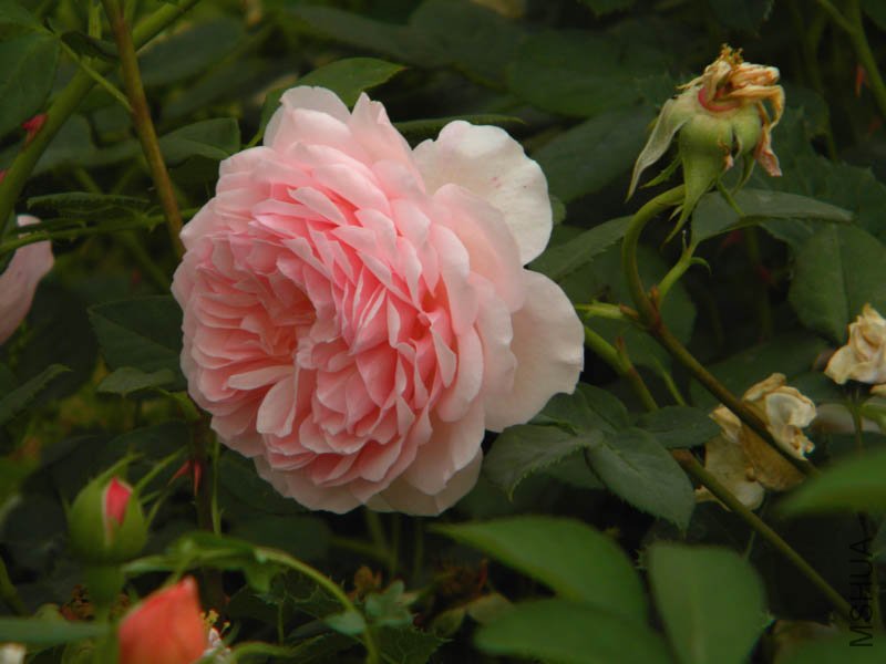 DSCN2380.jpg