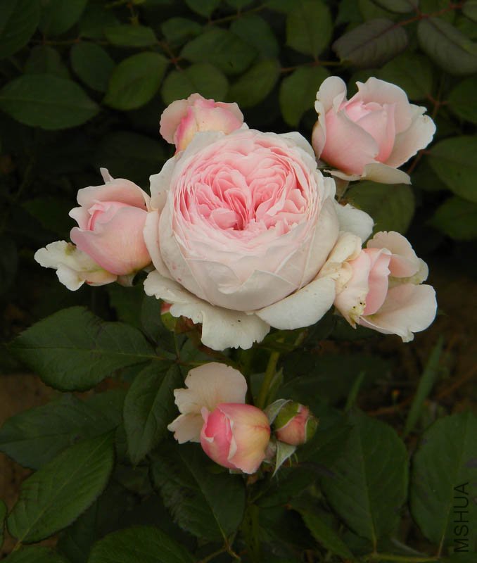 DSCN2363.jpg
