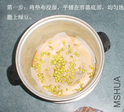 step1.jpg
