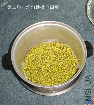 step2.jpg