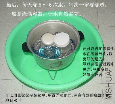 step5.jpg