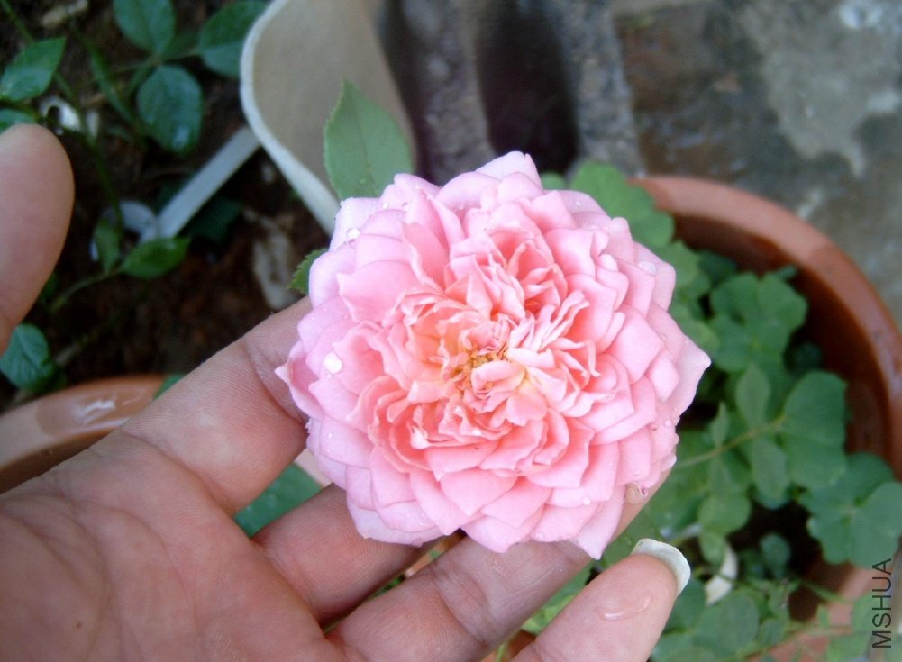 �������