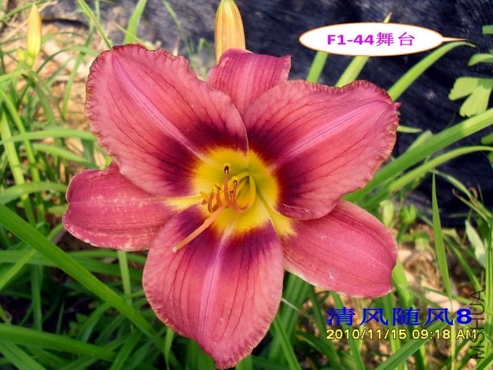 F1��44��̨ (1).jpg