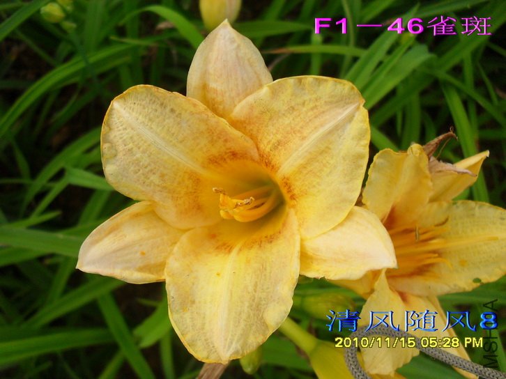 F1��46ȸ�� (1).jpg