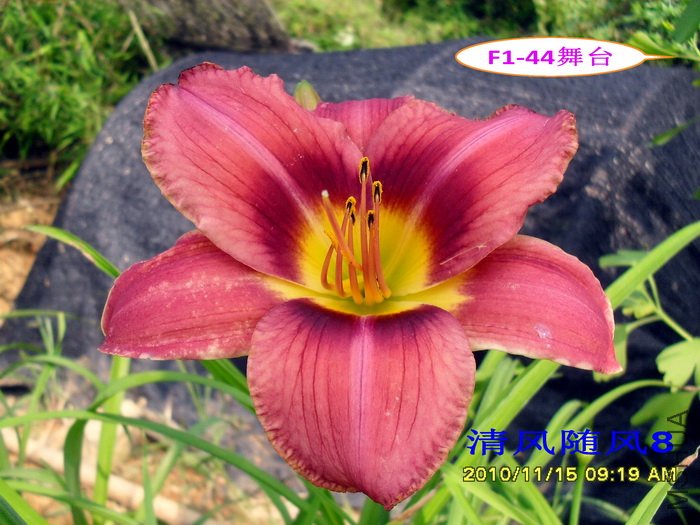 F1��44��̨ (2).jpg