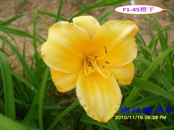 F1��45���� (1).jpg