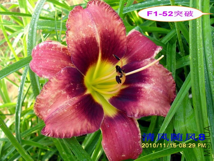 F1-52ͻ�� (2).jpg