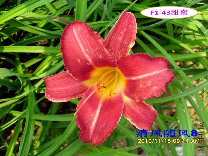 F1��43���� (1).jpg