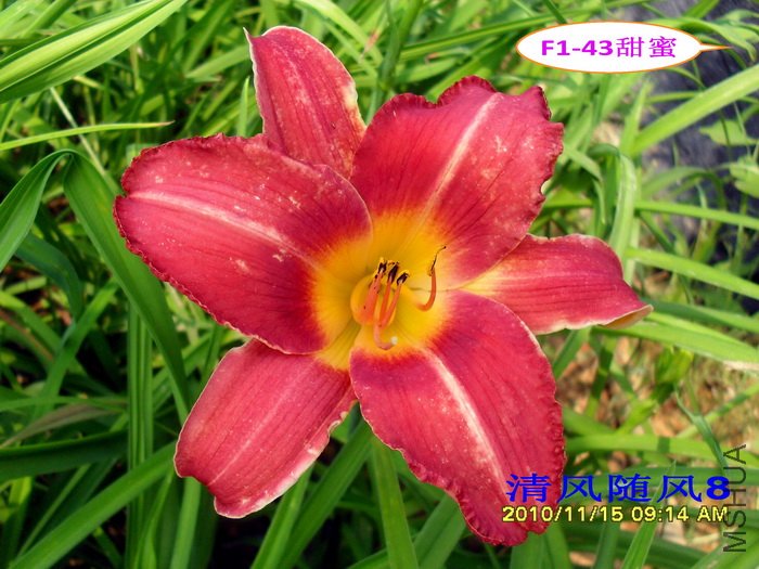 F1��43���� (2).jpg