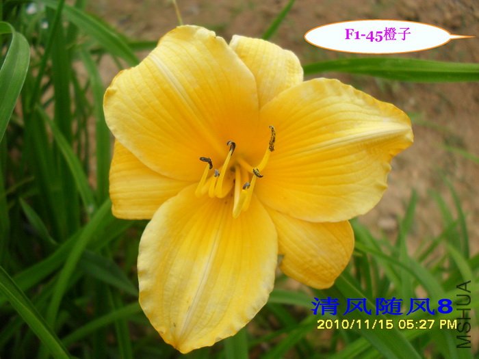 F1��45���� (2).jpg