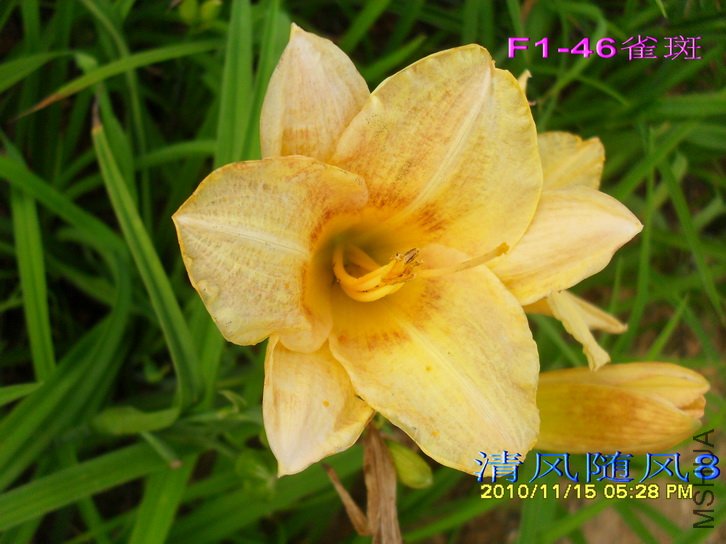 F1��46ȸ�� (2).jpg