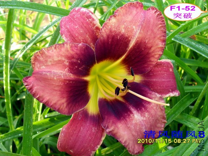 F1-52ͻ�� (1).jpg