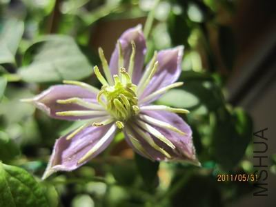 ������С IMG_1377.jpg