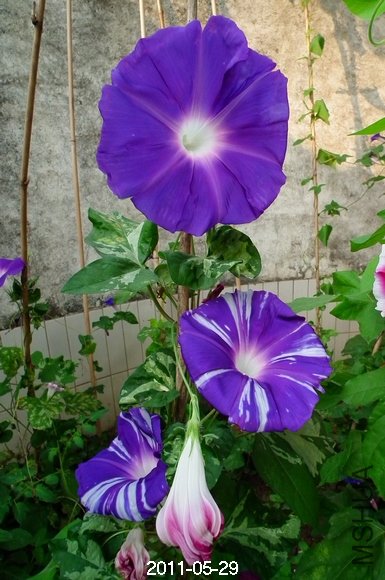 DSCF0614.JPG