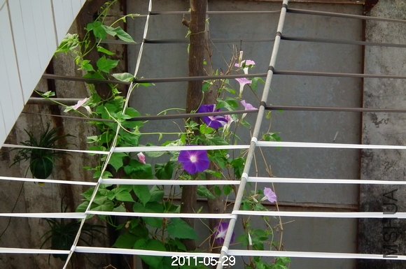 DSCF0602.JPG