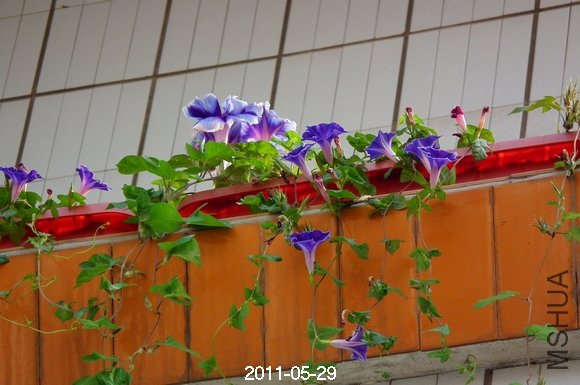 DSCF0618.JPG
