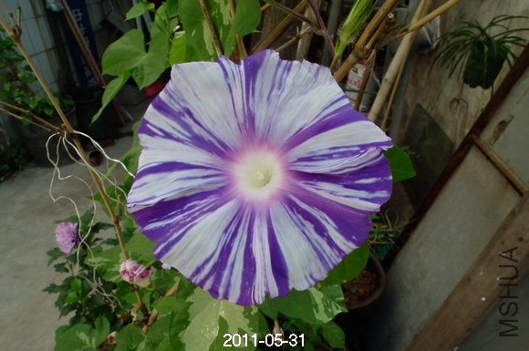 DSCF1055.JPG