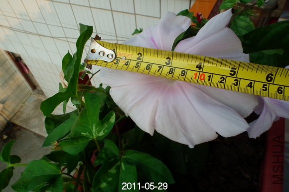 DSCF0594.JPG