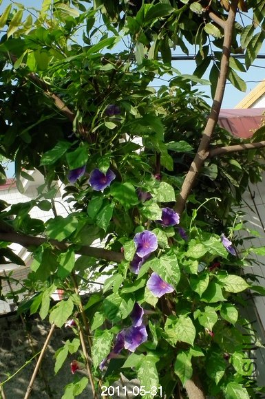 DSCF1059.JPG