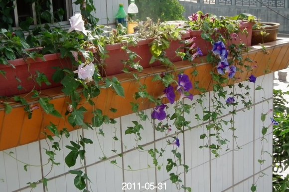 DSCF1065.JPG