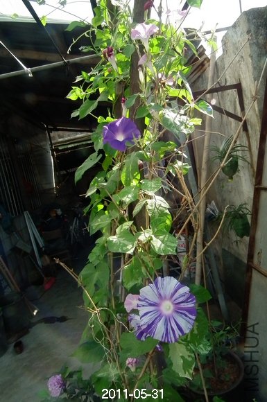DSCF1067.JPG