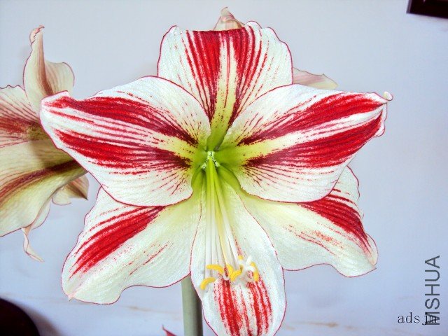 conew_dsc00336.jpg