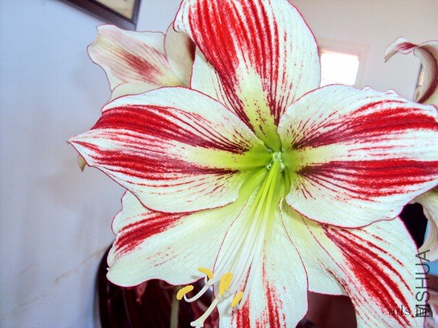 conew_dsc00340.jpg