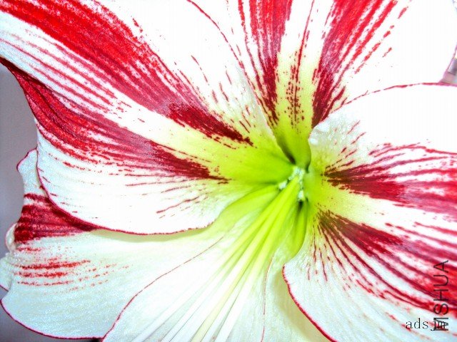 conew_dsc00351.jpg