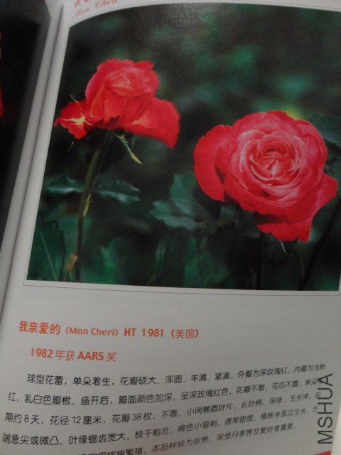 DSC00411.JPG