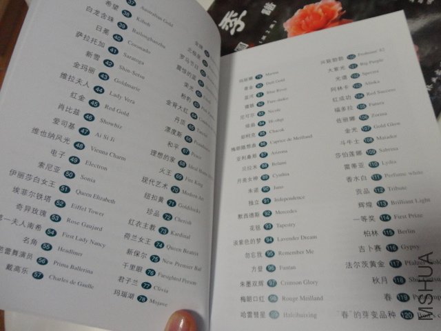 DSC00405.JPG