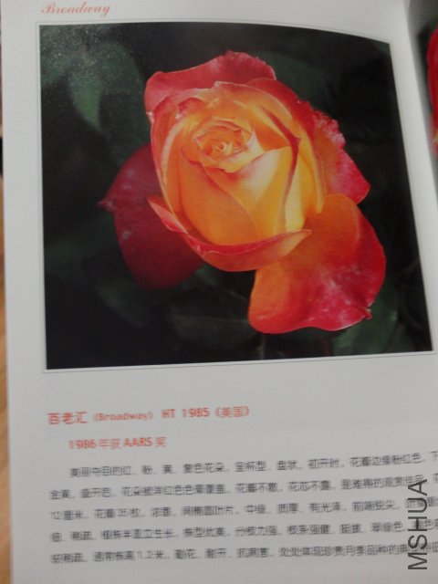 DSC00412.JPG