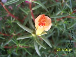 100_3630.JPG