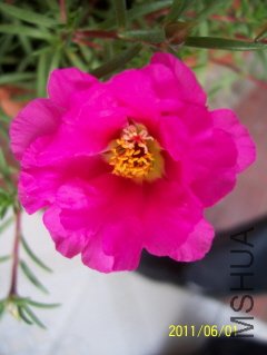 100_3629.JPG